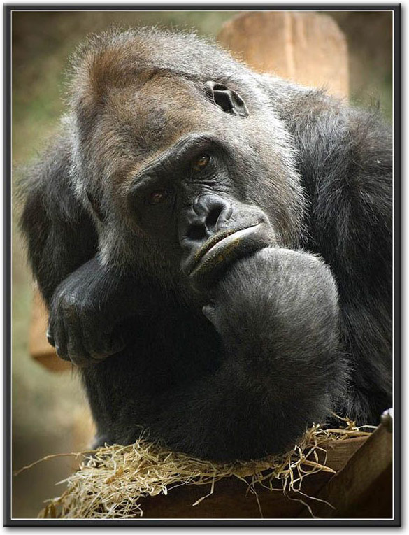 [ Photo Think ]